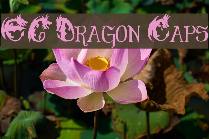 EG Dragon Caps Font examples