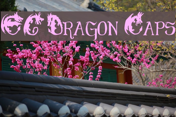 EG Dragon Caps Font examples