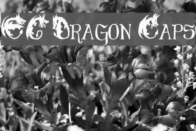 EG Dragon Caps Font examples