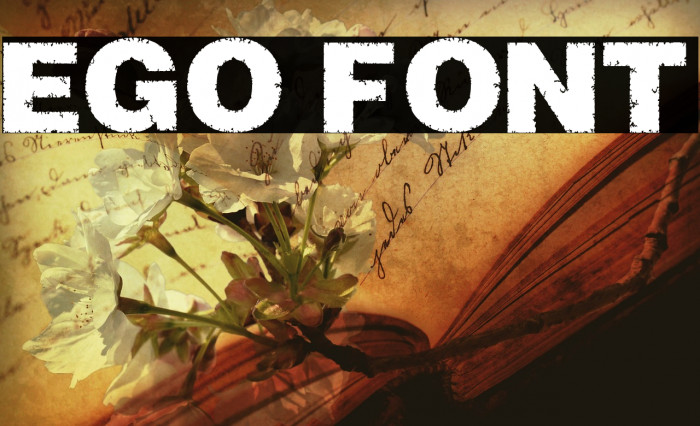 EGO Font examples