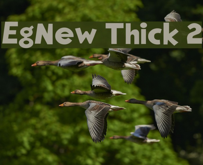 EgNew Thick 2 Example 2