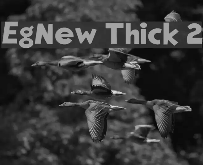 EgNew Thick 2 Font examples