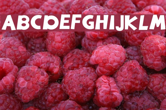 EgNew Thick Font examples