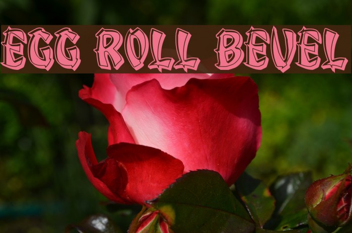 Egg Roll Bevel Font examples