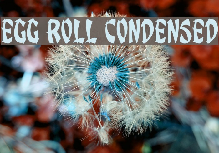Egg Roll Condensed Font examples