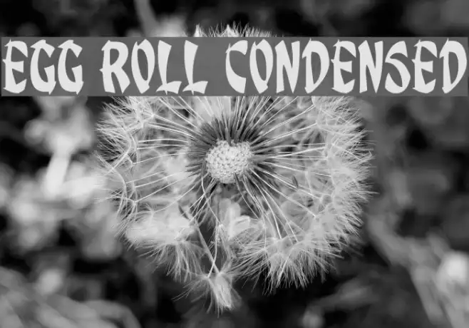 Egg Roll Condensed Example 1