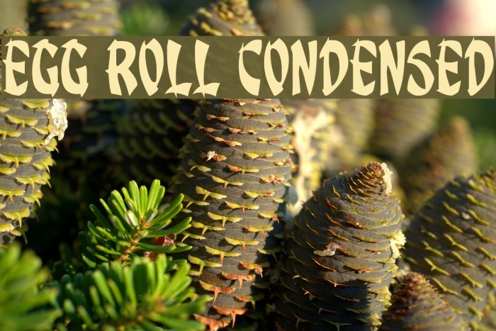 Egg Roll Condensed Font examples