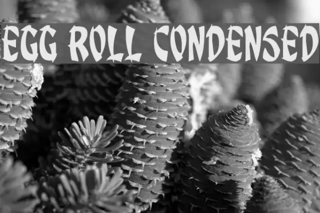 Egg Roll Condensed Example 3