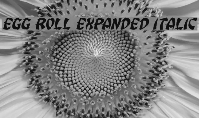 Egg Roll Expanded Italic Example 3