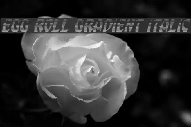 Egg Roll Gradient Italic Font examples