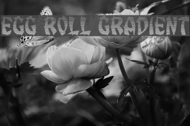 Egg Roll Gradient Example 1