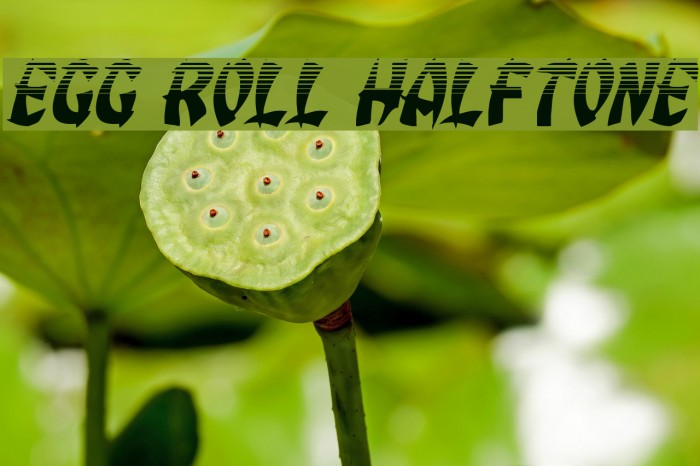 Egg Roll Halftone Font examples