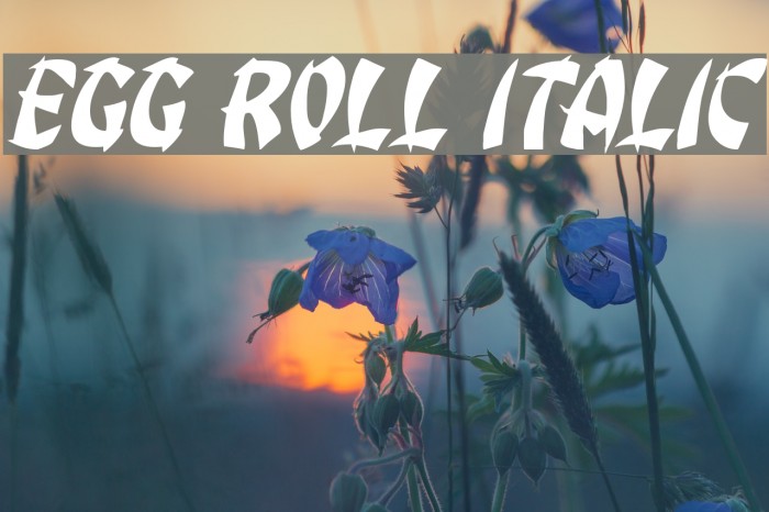 Egg Roll Italic Font examples