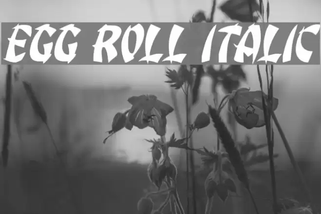 Egg Roll Italic Font examples