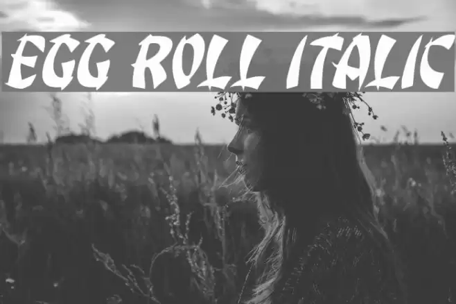 Egg Roll Italic Font examples