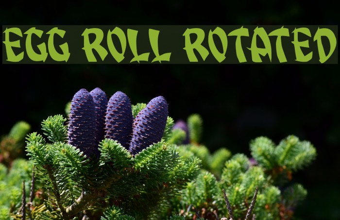 Egg Roll Rotated Example 3