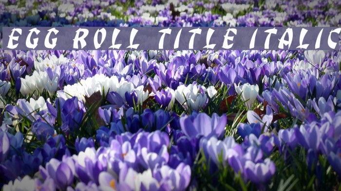 Egg Roll Title Italic Font examples