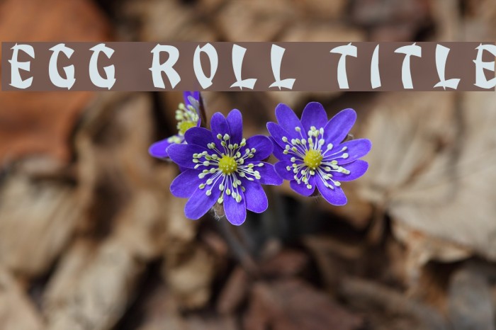 Egg Roll Title Font examples