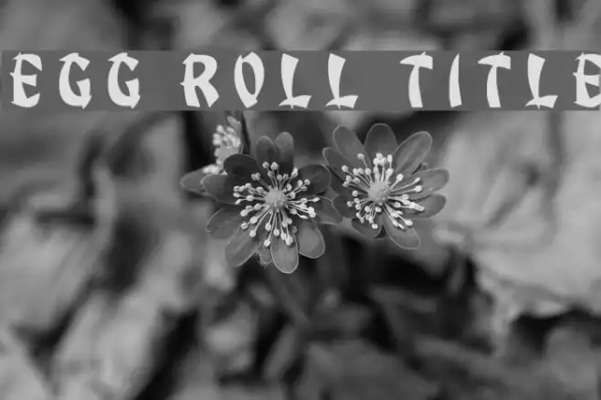 Egg Roll Title Example 1