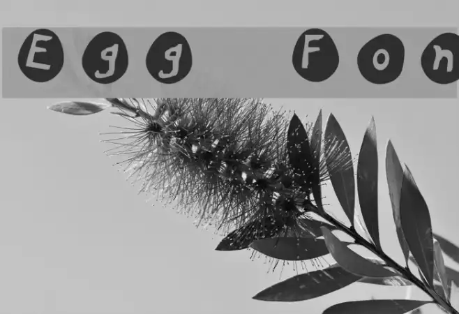 Eggs Example 2