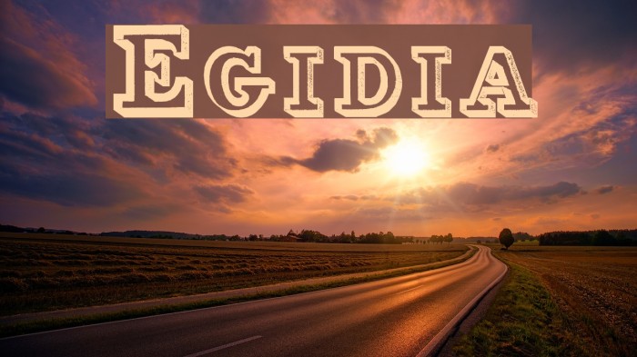 Egidia Font examples