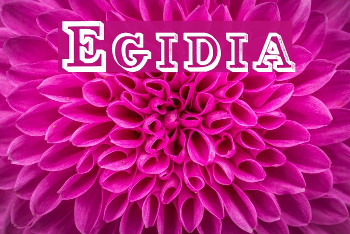 Egidia Font examples