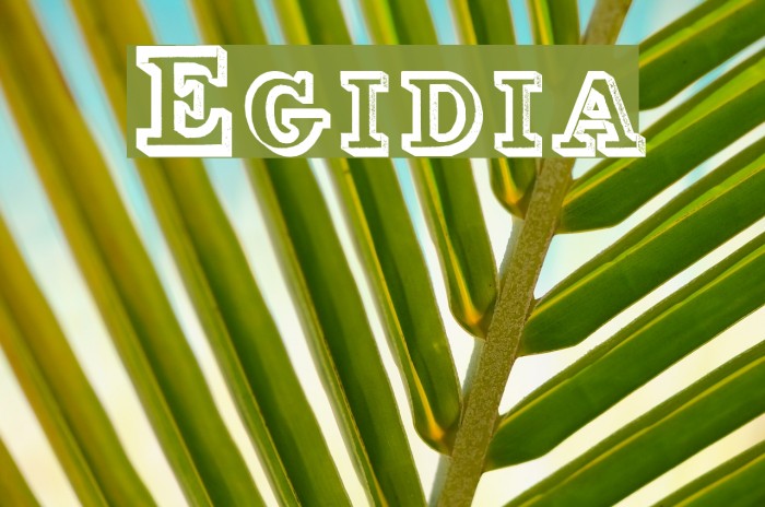 Egidia Font examples
