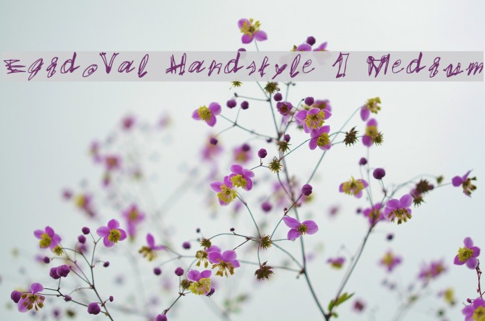 EgidoVal Handstyle 1 Medium Font examples