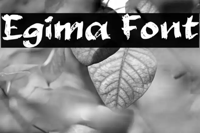 Egima Example 1