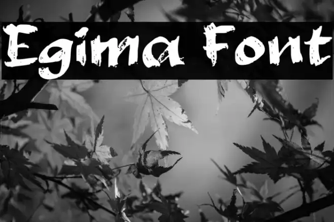 Egima Example 2