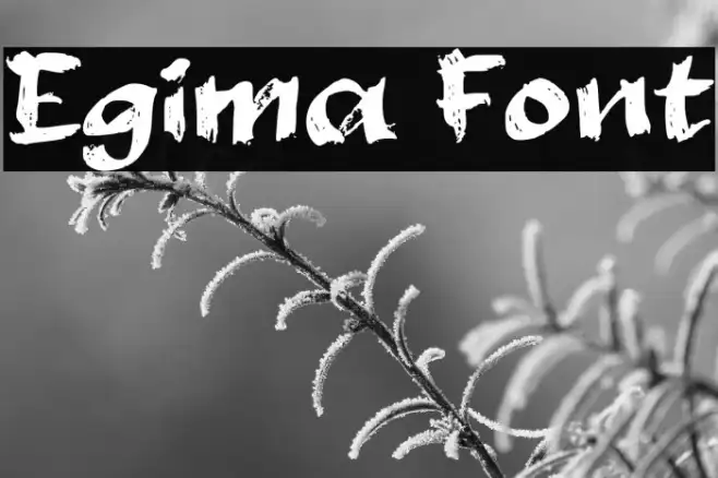 Egima Example 3