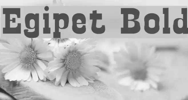 Egipet Bold Font examples