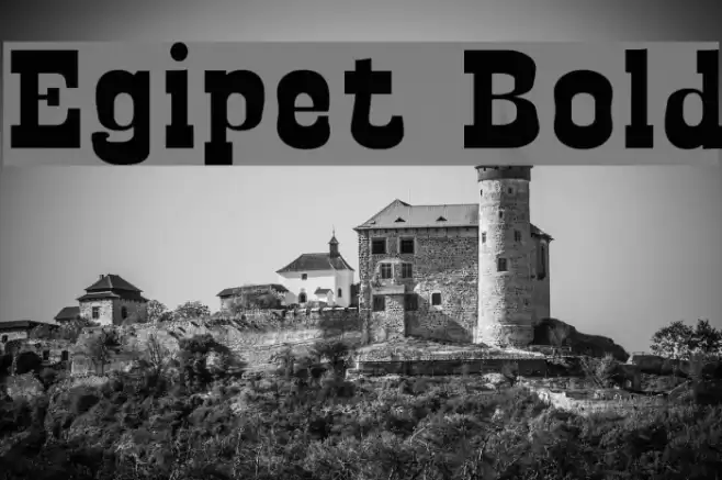 Egipet Bold Font examples