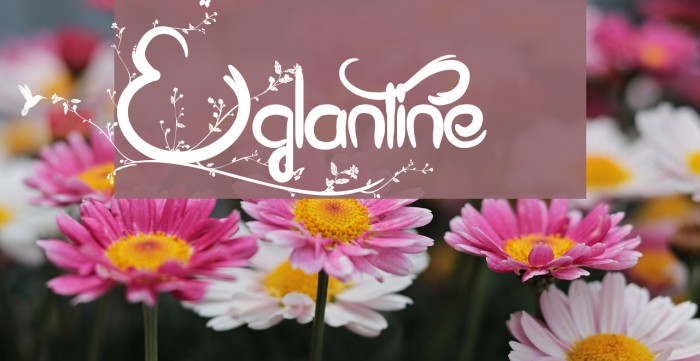 Eglantine Font examples
