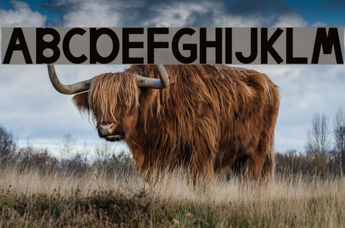 Egmont Text Bold Font examples