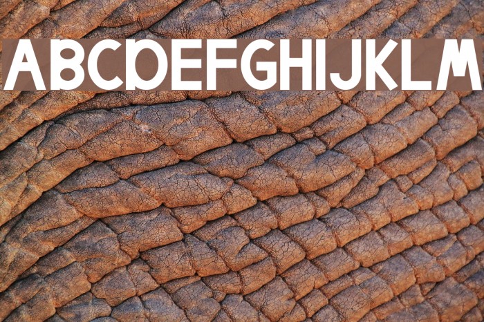 Egmont Text Bold Font examples