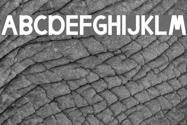 Egmont Text Bold Example 2