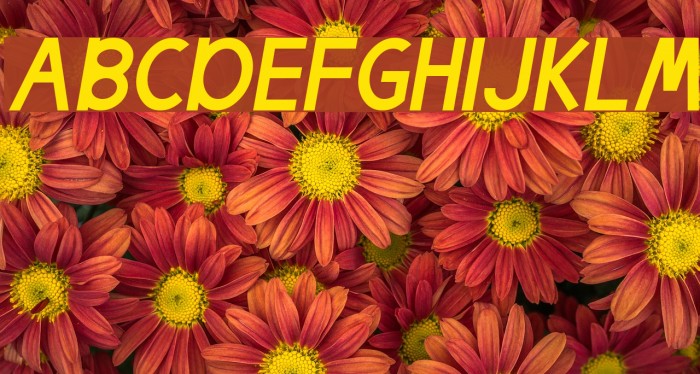 Egmont Text Italic Font examples