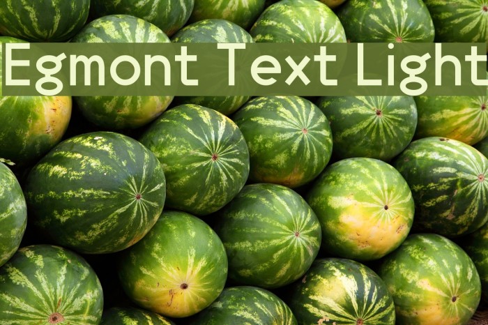 Egmont Text Light Font examples