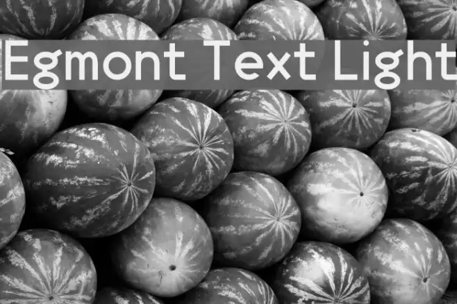 Egmont Text Light Example 1