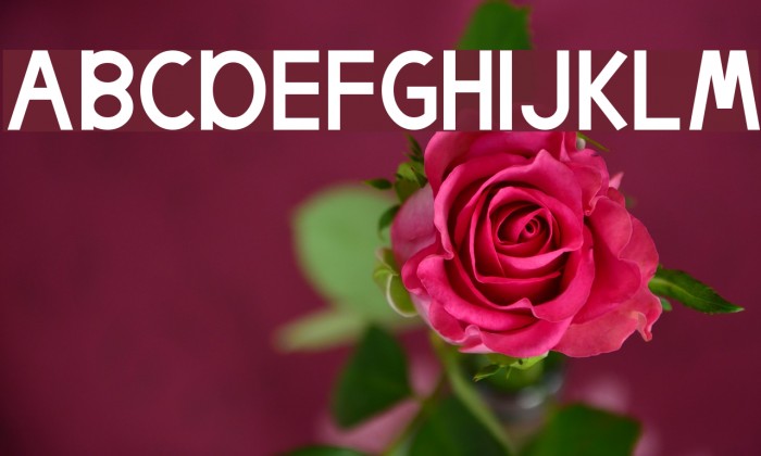 Egmont Text Font examples