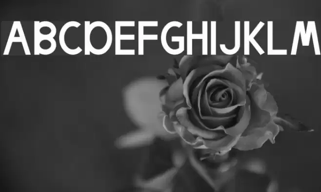 Egmont Text Font examples