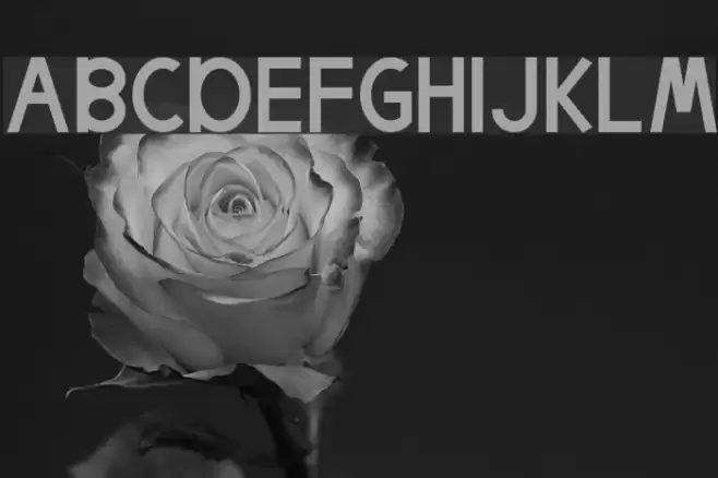 Egmont Text Font examples