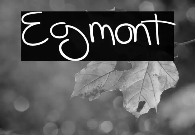 Egmont Example 1