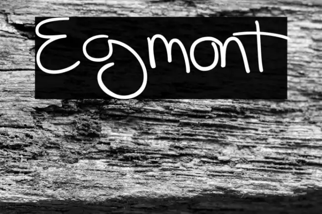 Egmont Example 3
