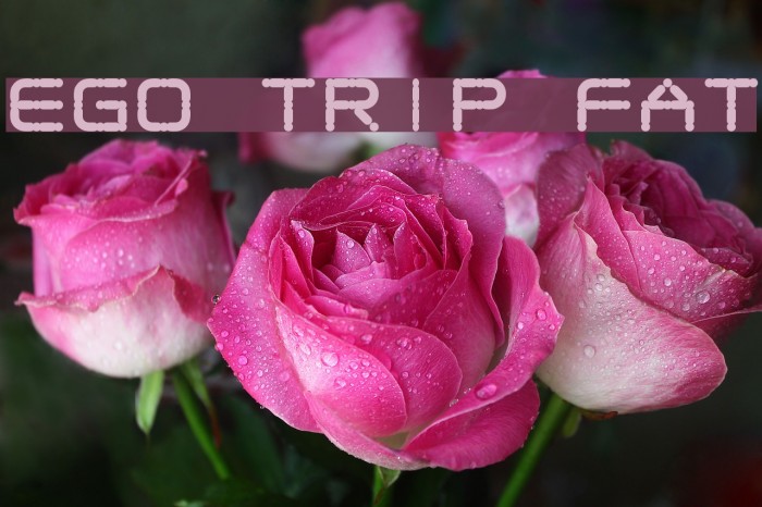 Ego trip Fat Font examples