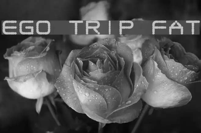 Ego trip Fat フォント examples