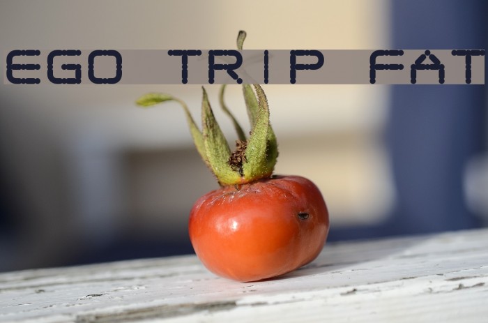 Ego trip Fat Font examples
