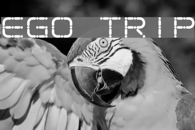 Ego trip Font examples