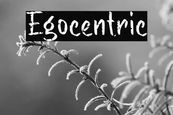 Egocentric Font examples